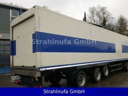 Kranenburg Kühl Sattel Zwangsgelenkt