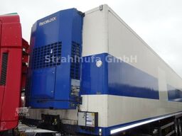 Kranenburg Kühl Sattel Zwangsgelenkt