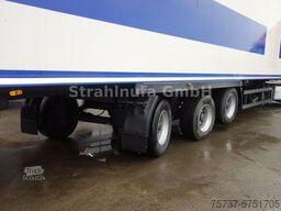 Kranenburg Kühl Sattel Zwangsgelenkt