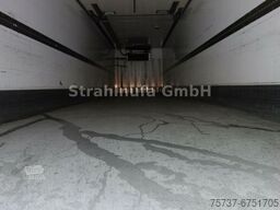 Kranenburg Kühl Sattel Zwangsgelenkt