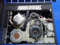 Kranenburg Kühl Sattel Zwangsgelenkt