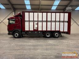 Scania 124G 420 Scania - Euro 3 - levendvee vervoer - ...