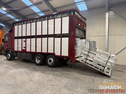 Scania 124G 420 Scania - Euro 3 - levendvee vervoer - ...