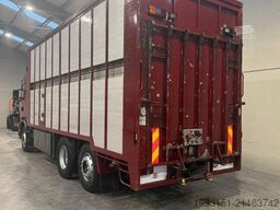 Scania 124G 420 Scania - Euro 3 - levendvee vervoer - ...