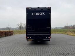 Renault T Renault T Roelofsen 10 Paards hengsten uitvoe...