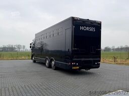 Renault T Renault T Roelofsen 10 Paards hengsten uitvoe...