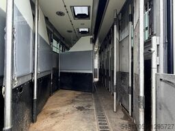 Renault T Renault T Roelofsen 10 Paards hengsten uitvoe...