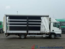 MAN TGL 8.190 Koffer - Schiebeplane rechts