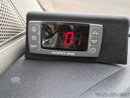 IVECO Daily C 65 Lagerfahrzeug Stock 519 Sofort