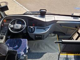 TEMSA 8 units Prestij SX,Novo Lux, Daily, Atego