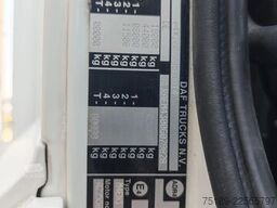 DAF CF 460 4x2 Euro 6 Thermoking T-1200R Schmitz Ca...