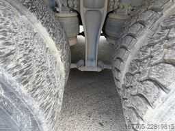 Iveco TRAKKER AD340T45