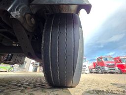 BERGER SAPL 24 / Coilmulde / EDSCHA