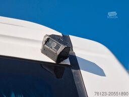 TEMSA Prestij SX Novo Lux Daily