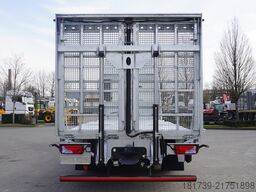 MAN TGX 26.470 tow truck / NEW galvanized