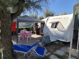 Hobby De Luxe Mfe560