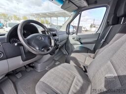 MERCEDES-BENZ Sprinter 316CDI TIEFKÜHLER/ 380V