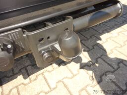 FORD Transit DoKa Pritsche 350 L3 Trend AHK Kamera