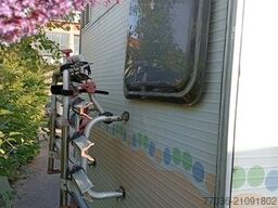 CI INTERNATIONAL CARIOCA 40,Motor v.38.494km neu,Grüne Plak,6Pers