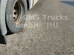 MAN TGX 18.440 / Schlafkabine / Klima / Automatik