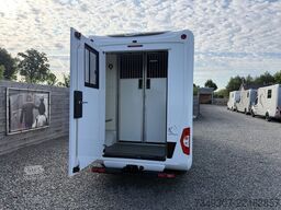 Renault Master | HORSETRUCK | STX | STALLION 3XL | 2021...