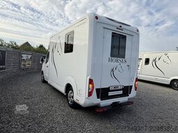 Renault Master | HORSETRUCK | STX | STALLION 3XL | 2021...