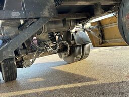 Jung GERGEN JUNG TMA18L-Apollo *2-Achs-Absetzanhänge...