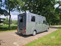 Renault Master Actie! Nieuw model 2025 STX paardenwagen...