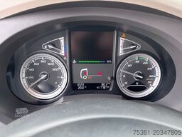 DAF LF 320 Sleeper Cab Koffer mit LBW Automatik AHK