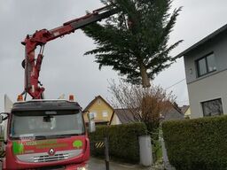 Renault Premium Lander 410.26