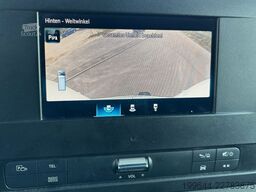 MERCEDES-BENZ Sprinter III Kasten 317 CDI,9-GTronic Autom,Lang