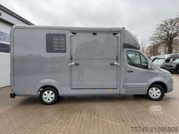 MERCEDES-BENZ STX Sprinter  GG 4,100KG  Haras Hengste