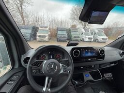 MERCEDES-BENZ STX Sprinter  GG 4,100KG  Haras Hengste