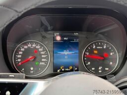 MERCEDES-BENZ STX Sprinter  GG 4,100KG  Haras Hengste