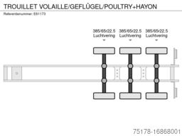 TROUILLET VOLAILLE/GEFLÛGEL/POULTRY+HAYON