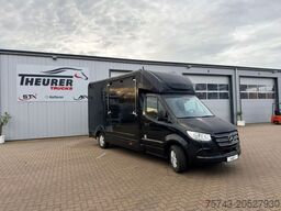 MERCEDES-BENZ STX Sprinter  GG 4,100KG  Haras Hengste