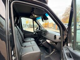 MERCEDES-BENZ STX Sprinter  GG 4,100KG  Haras Hengste