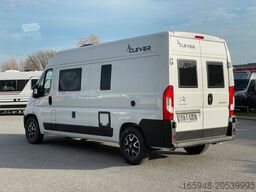 CLEVER Celebration | Zum Bestpreis bei Dümo!*