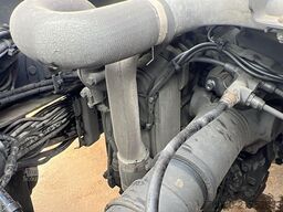 Will Bus GmbH & Co. KG Will Bus GmbH & Co. KG Will Bus GmbH & Co. KG