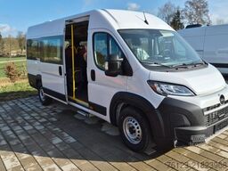FIAT 1x Ducato 1x  Opel Movano 18 SS  in Stock