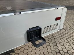 Ford Transit  KM 0  Cassone  3,3 Mt  - 35 Q.LI