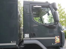 DAF LF 290 / 21 EPAL box / 2021