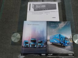 DAF LF 290 / 21 EPAL box / 2021
