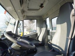 Iveco Stralis X-Way 310 4x2 E6 / Fassi F155