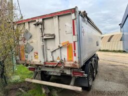 Benalu Non spécifié