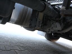 Daf XF 480 SC Retarder Standklima Kühlbox