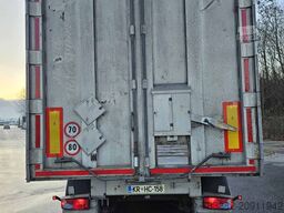 Benalu Optiliner 106