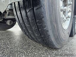 Benalu Optiliner 106