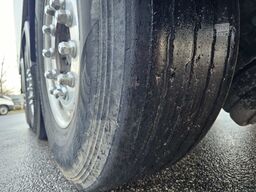 Benalu Optiliner 106