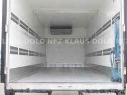 SCHMITZ CARGOBULL WKO BDF Kühlkoffer Wechselaufbau Thermo King